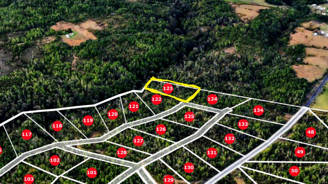 Parcela en venta en Fresia — foto 2