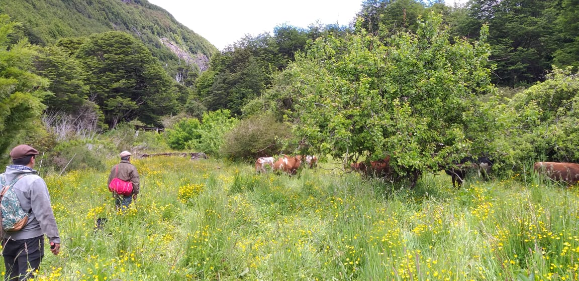 Terreno en venta en Coyhaique — foto 2