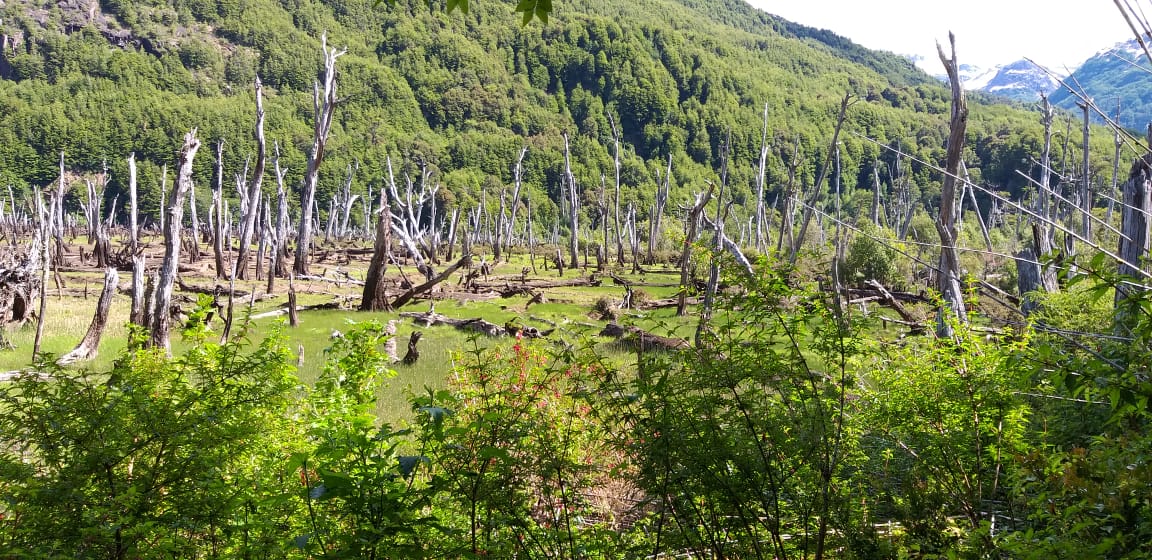 Terreno en venta en Coyhaique — foto 3