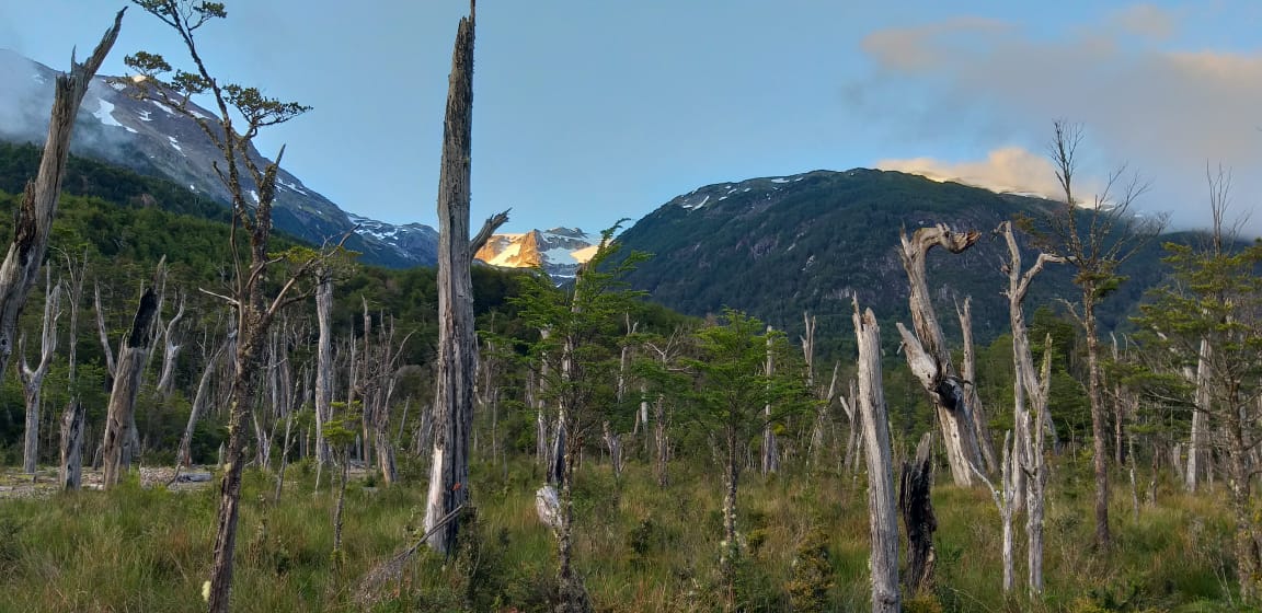 Terreno en venta en Coyhaique — foto 4