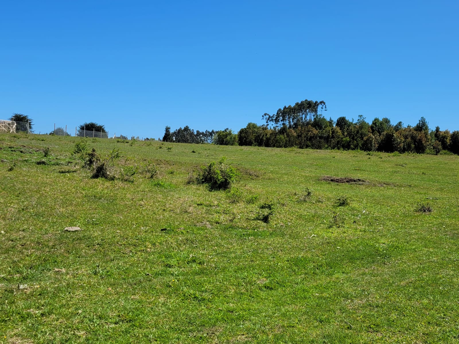 Parcela en venta en Maullín — foto 1