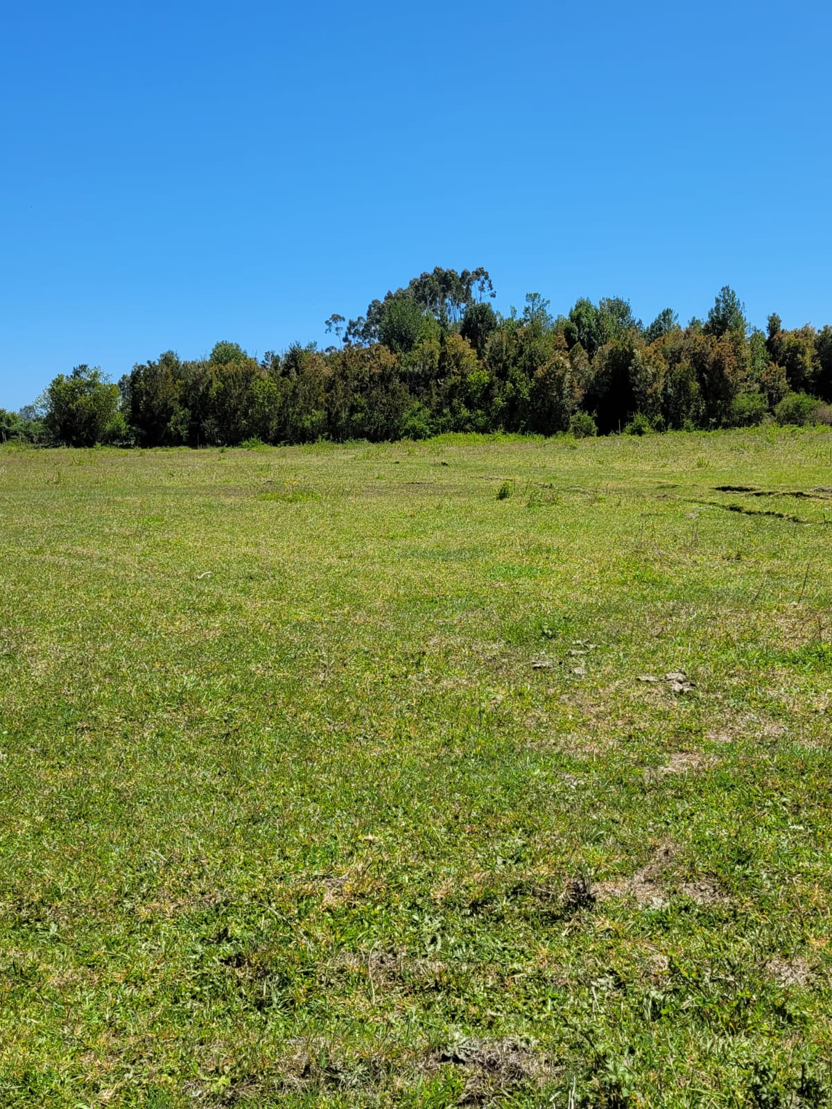 Parcela en venta en Maullín — foto 2