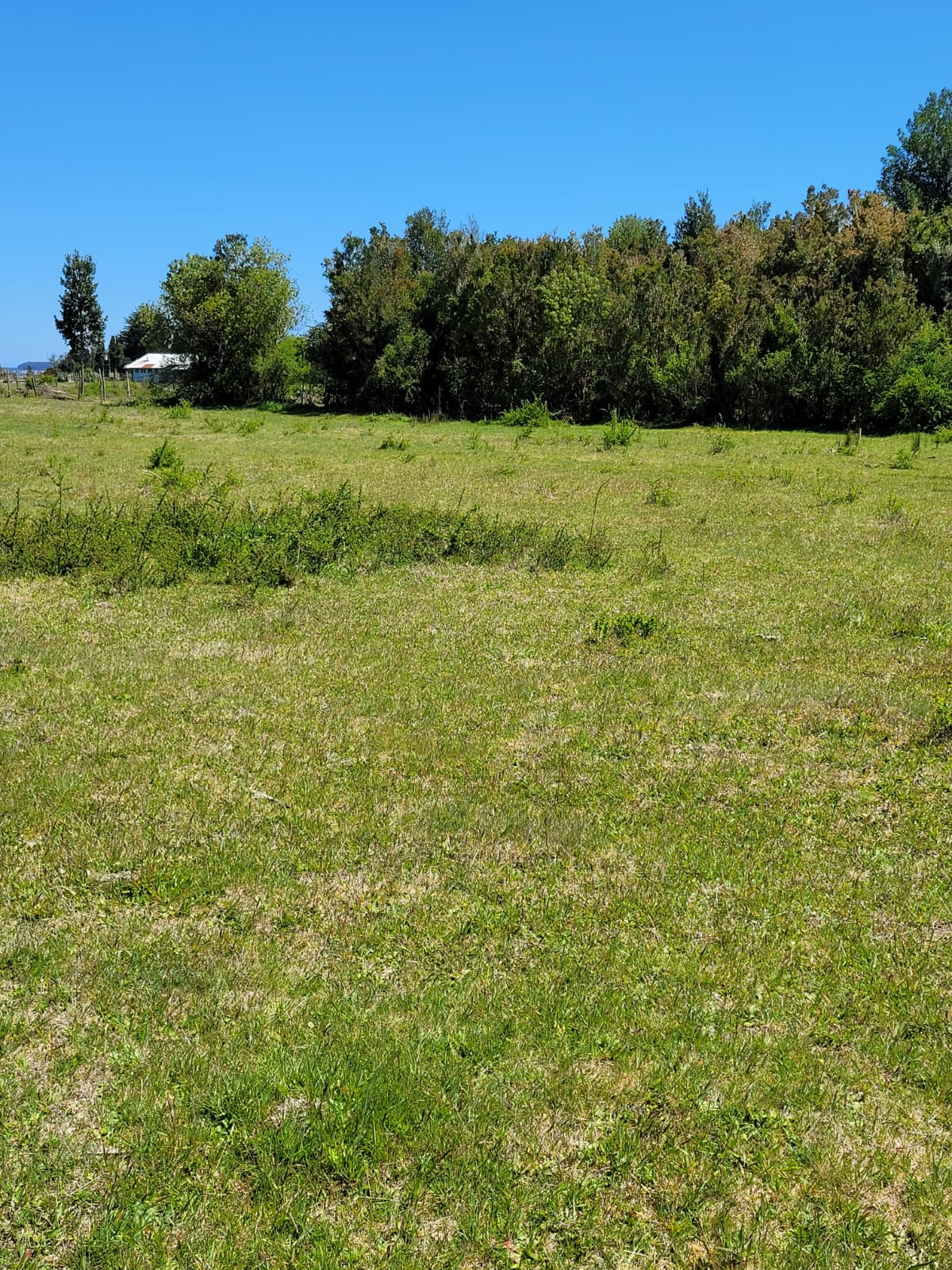 Parcela en venta en Maullín — foto 7