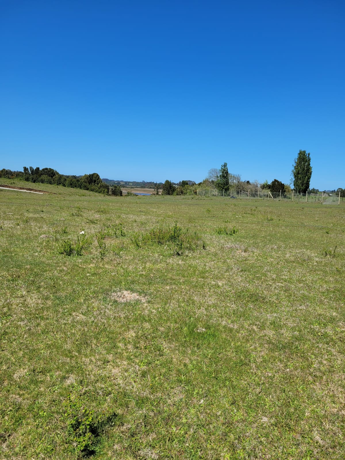 Parcela en venta en Maullín — foto 8