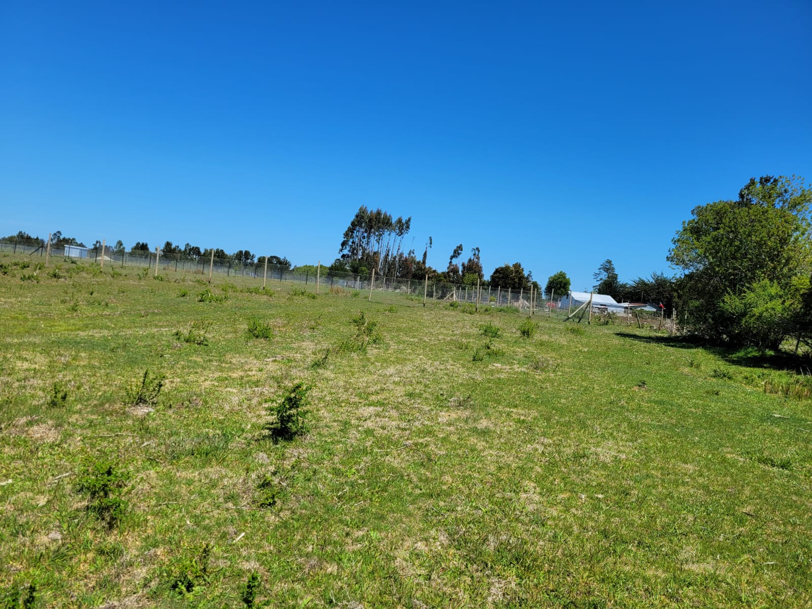 Parcela en venta en Maullín — foto 10