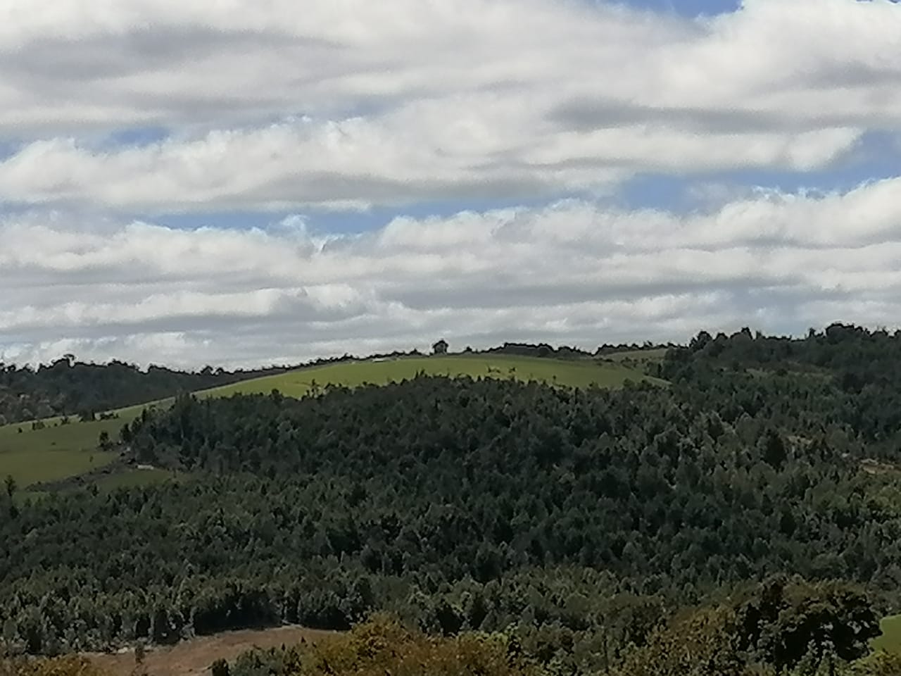 Terreno en venta en Los Muermos — foto 1