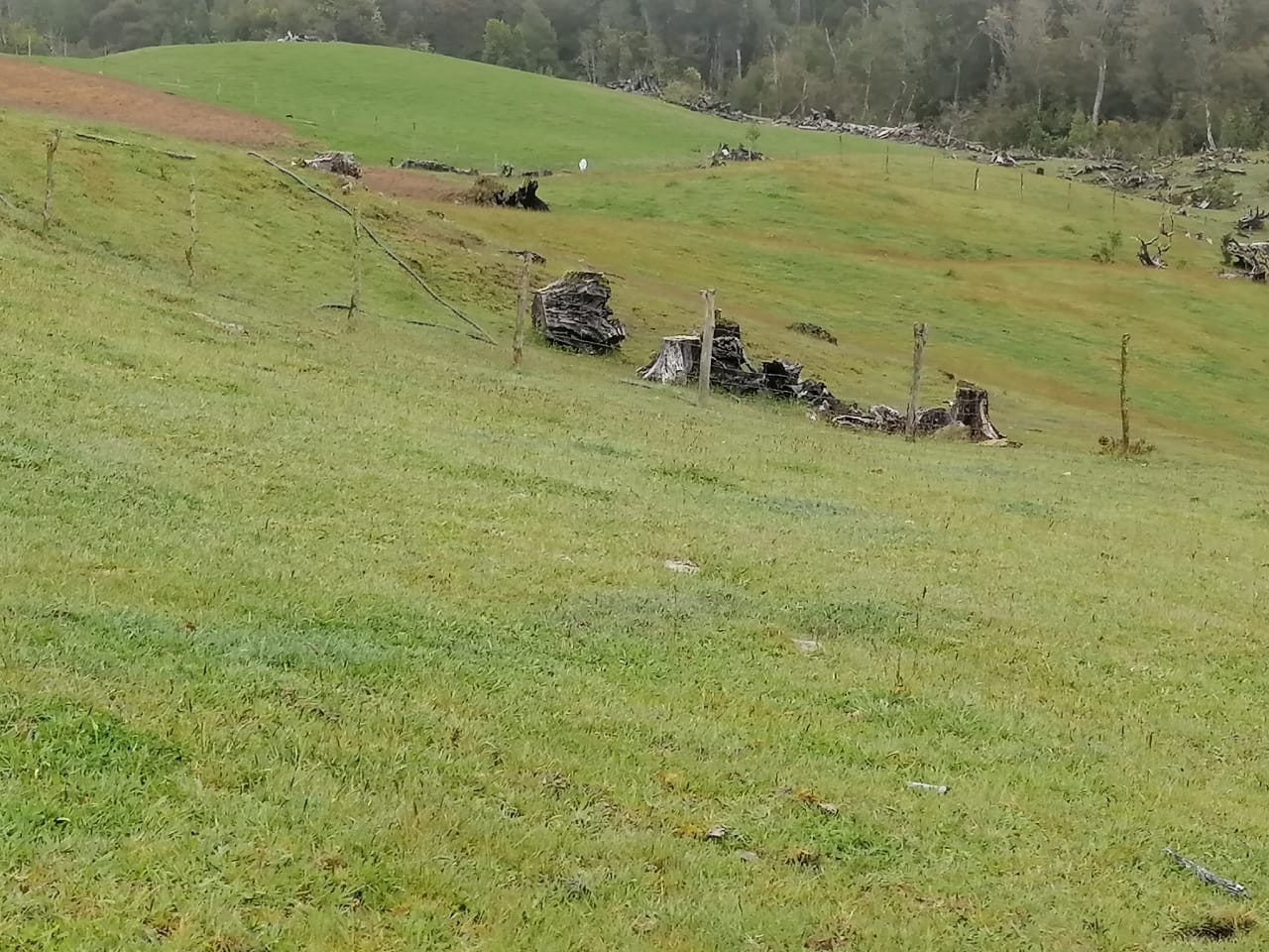 Terreno en venta en Los Muermos — foto 7