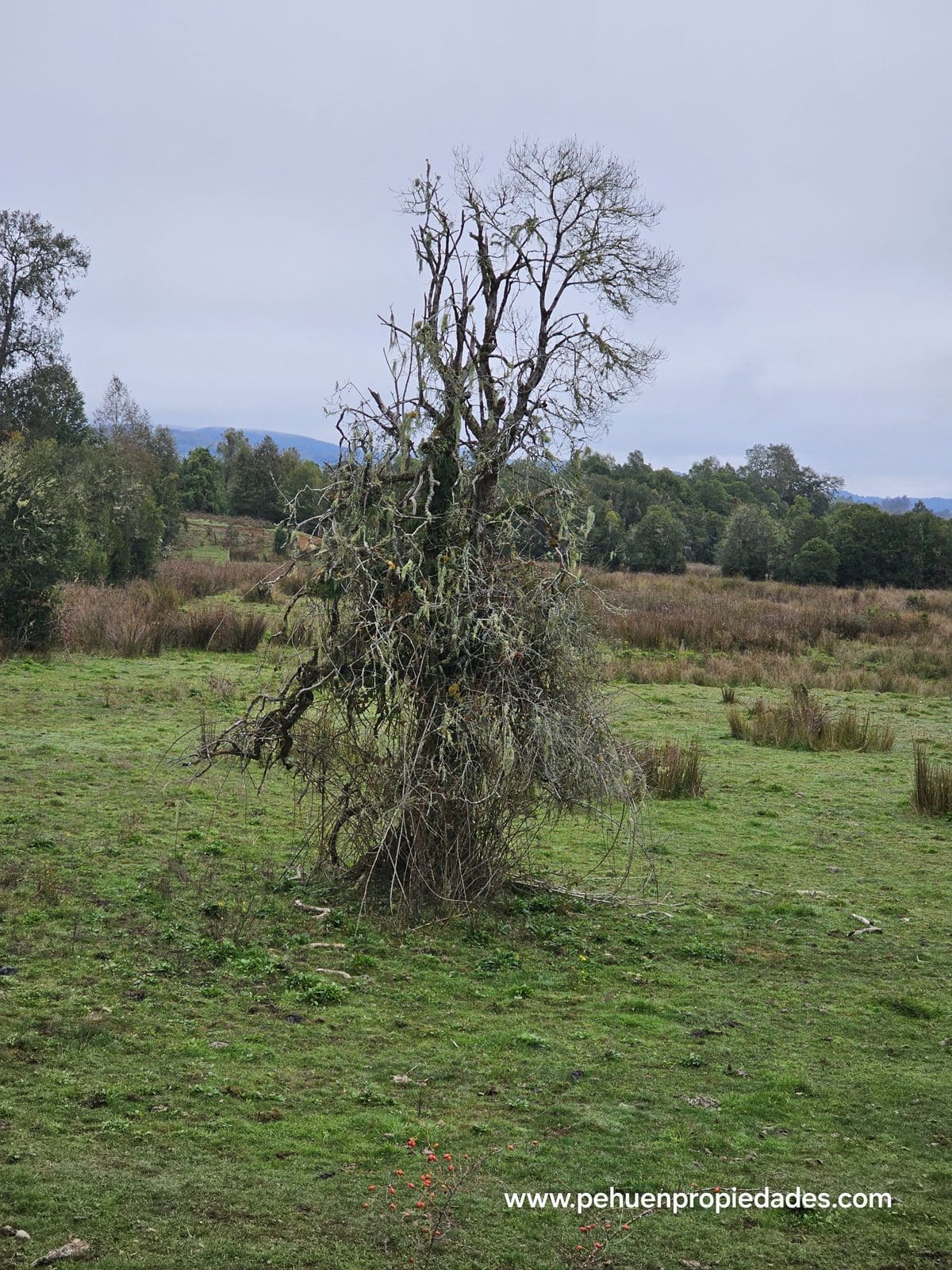 Terreno en venta en Mariquina — foto 1