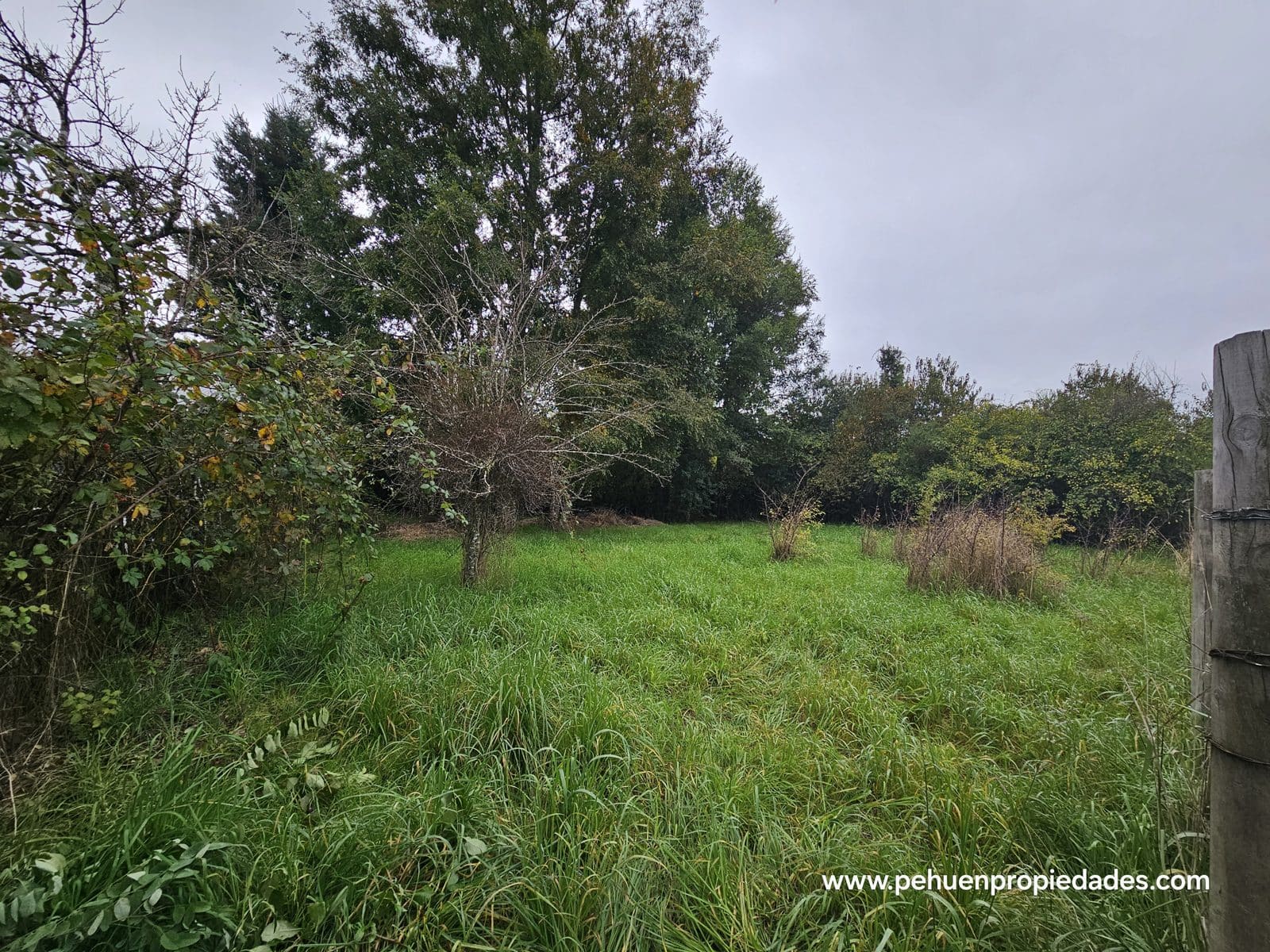 Terreno en venta en Mariquina — foto 2