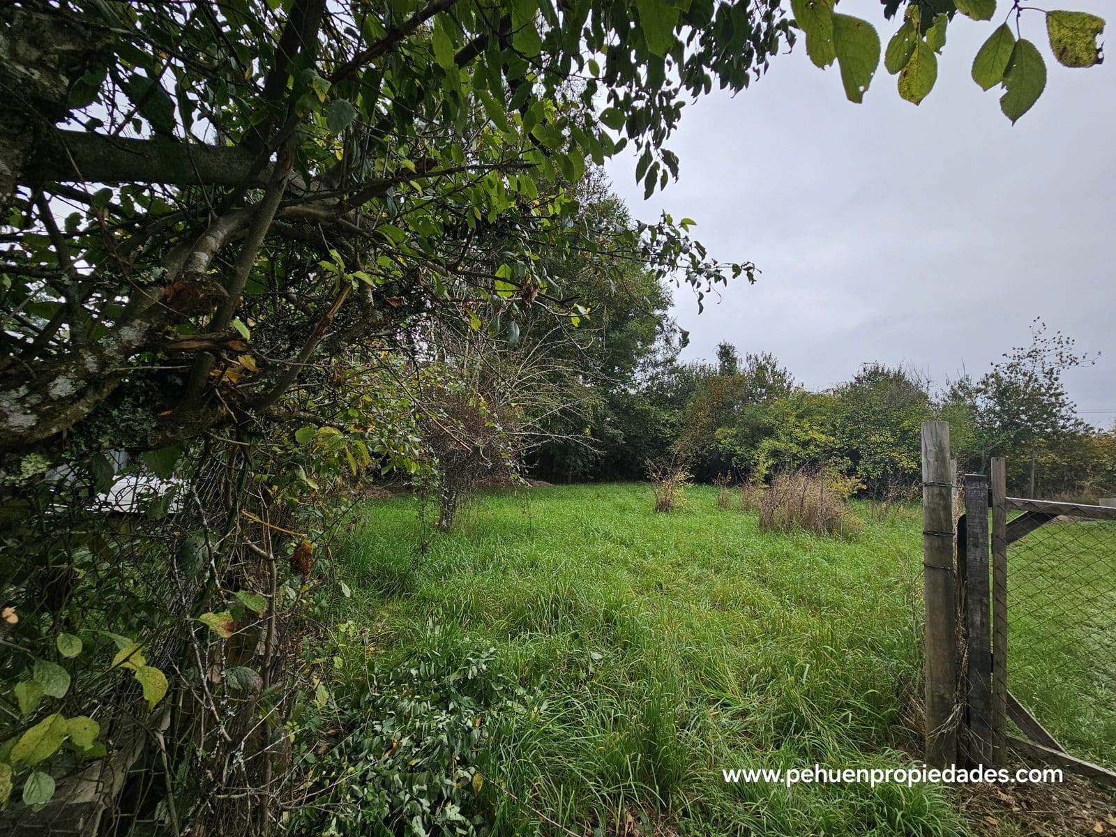 Terreno en venta en Mariquina — foto 3