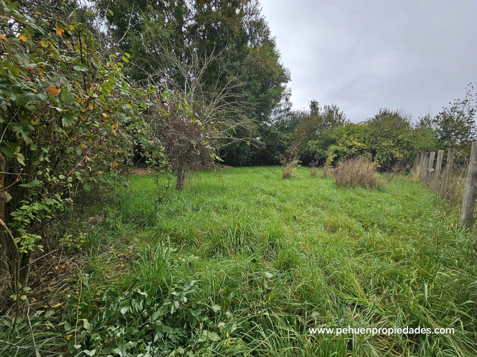 Terreno en venta en Mariquina — foto 5