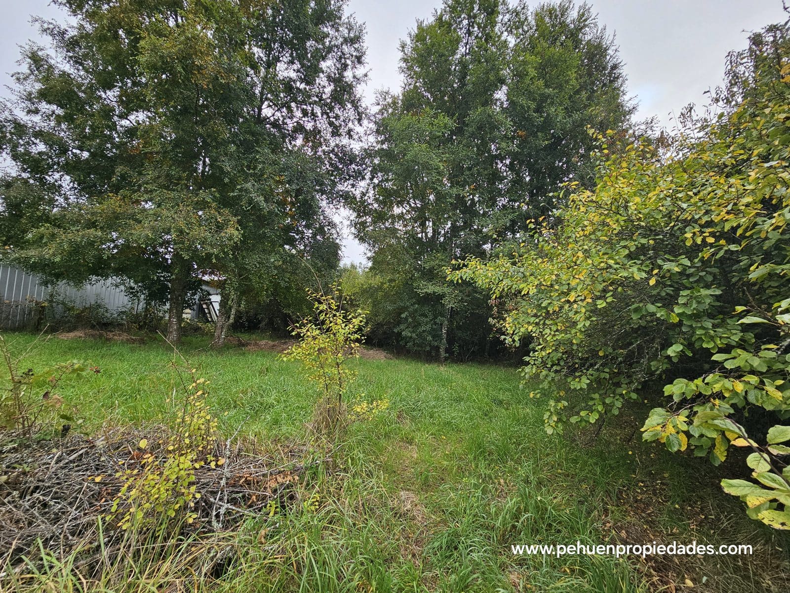 Terreno en venta en Mariquina — foto 6
