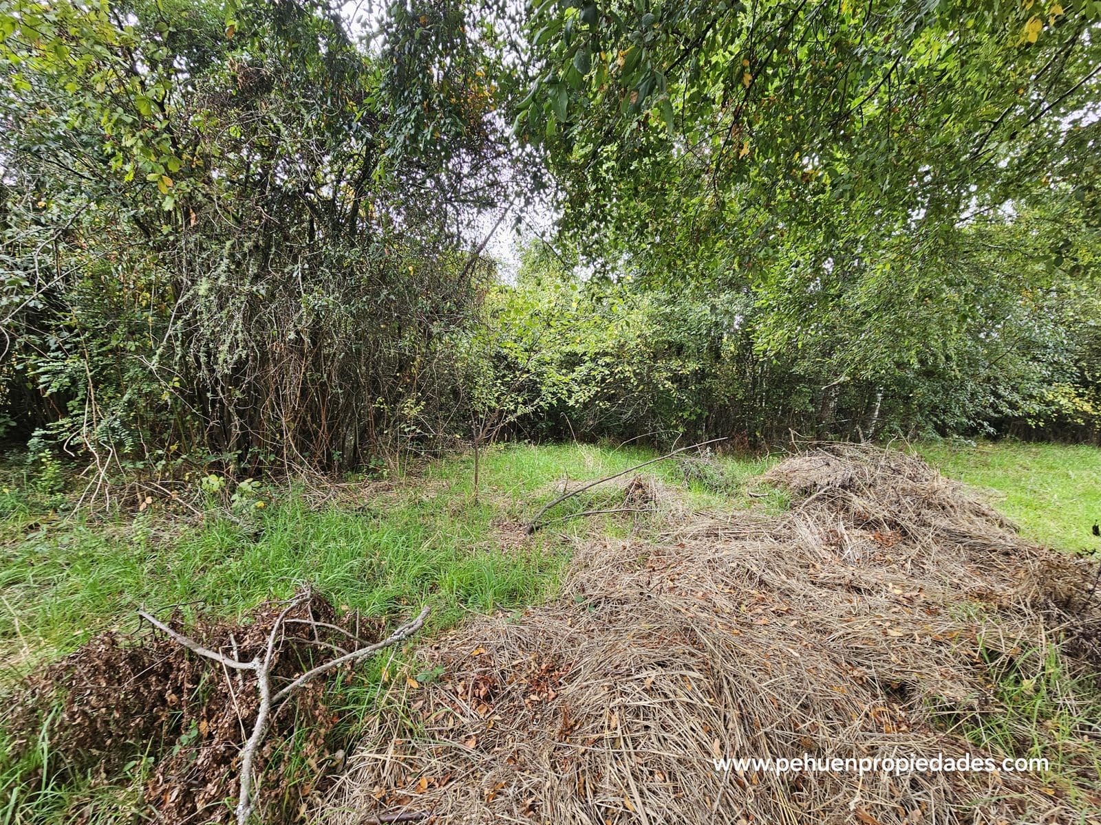 Terreno en venta en Mariquina — foto 7