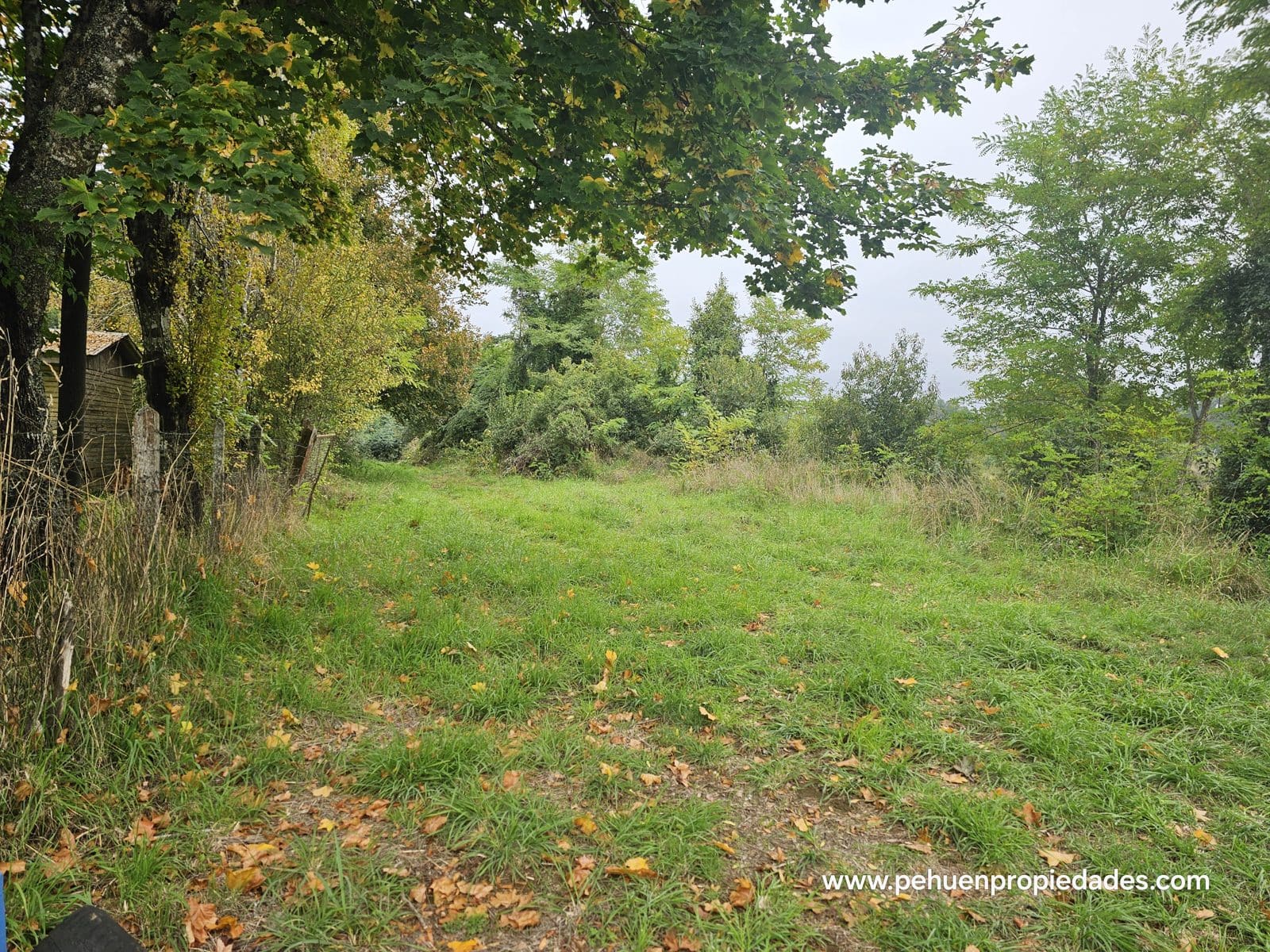 Terreno en venta en Mariquina — foto 10
