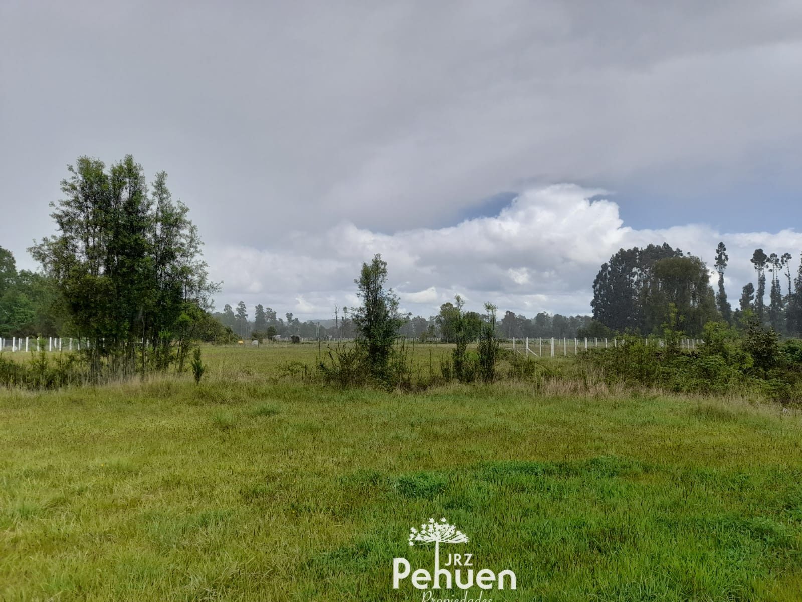 Parcela en venta en Paillaco — foto 3