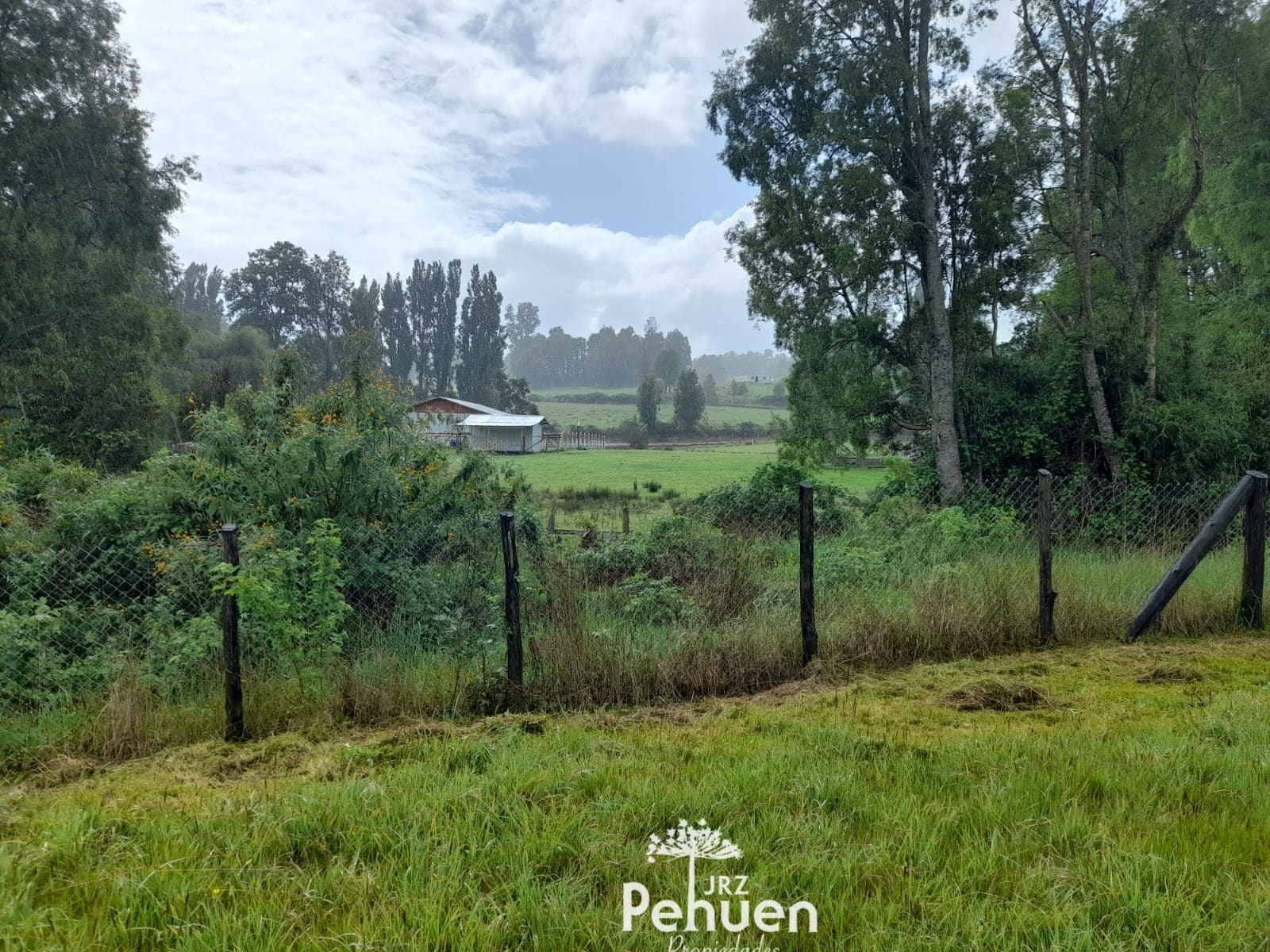 Parcela en venta en Paillaco — foto 4