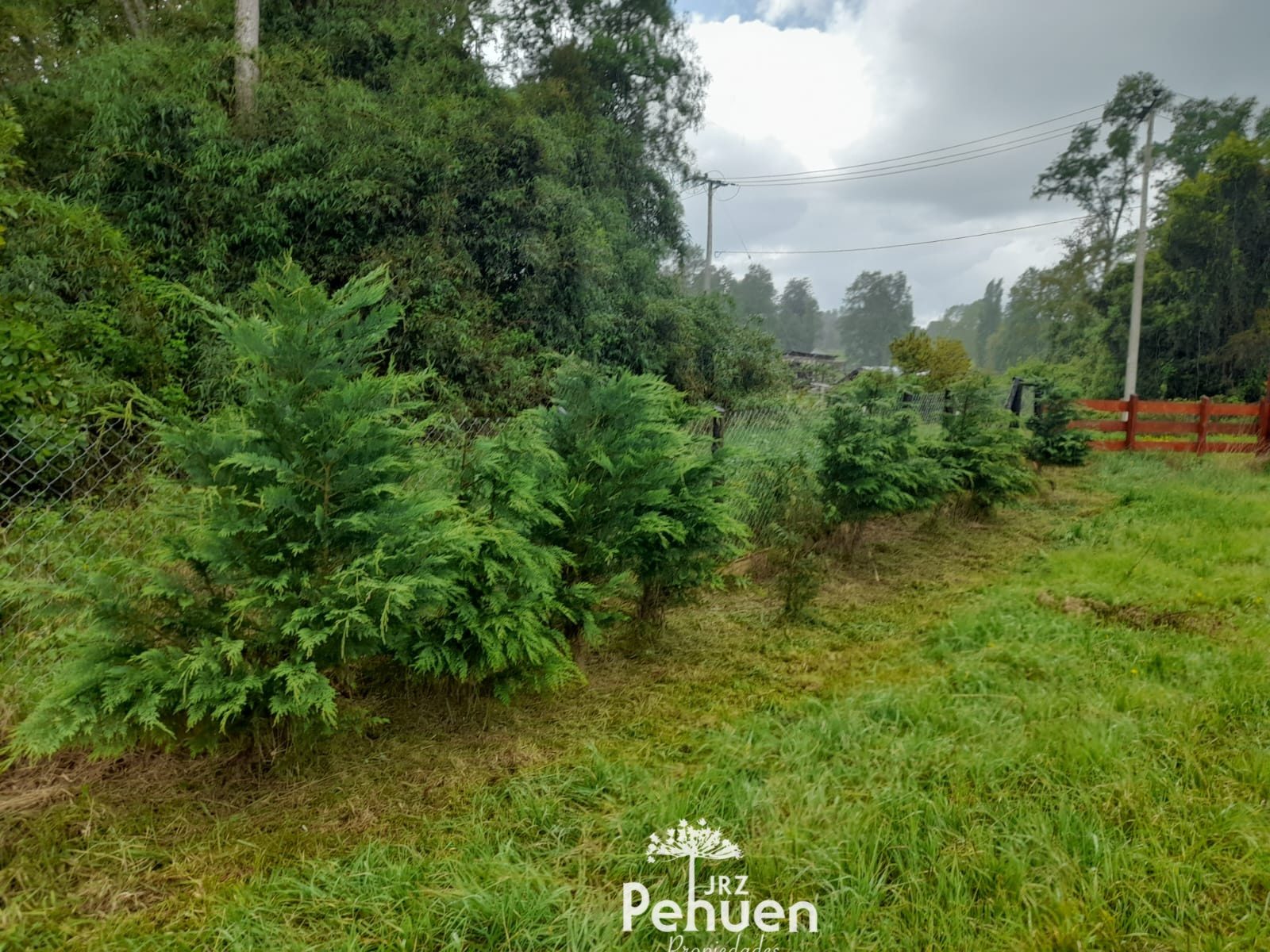 Parcela en venta en Paillaco — foto 5