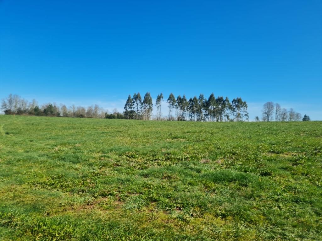 Parcela en venta en Máfil — foto 4