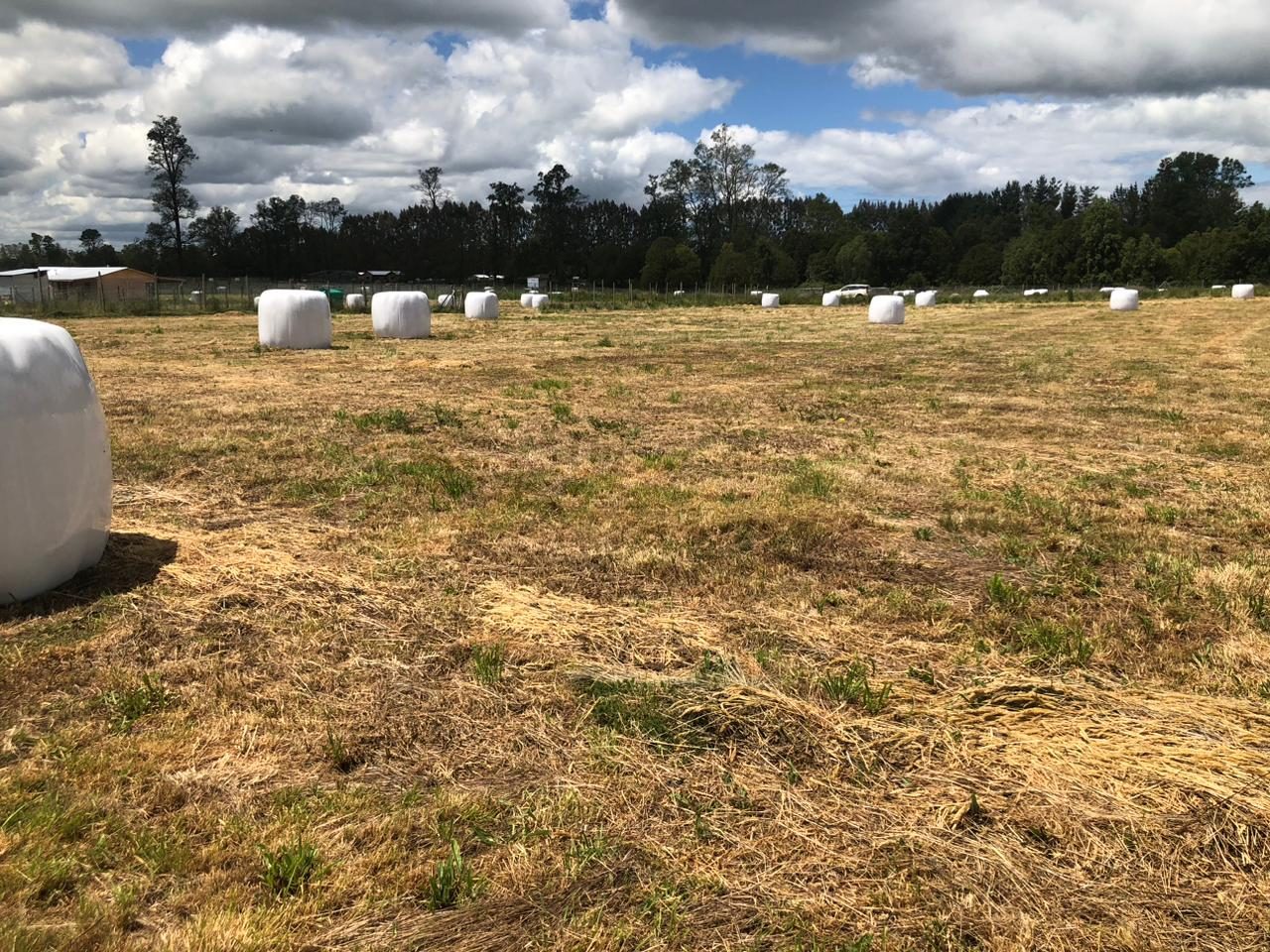 Parcela en venta en Frutillar — foto 1