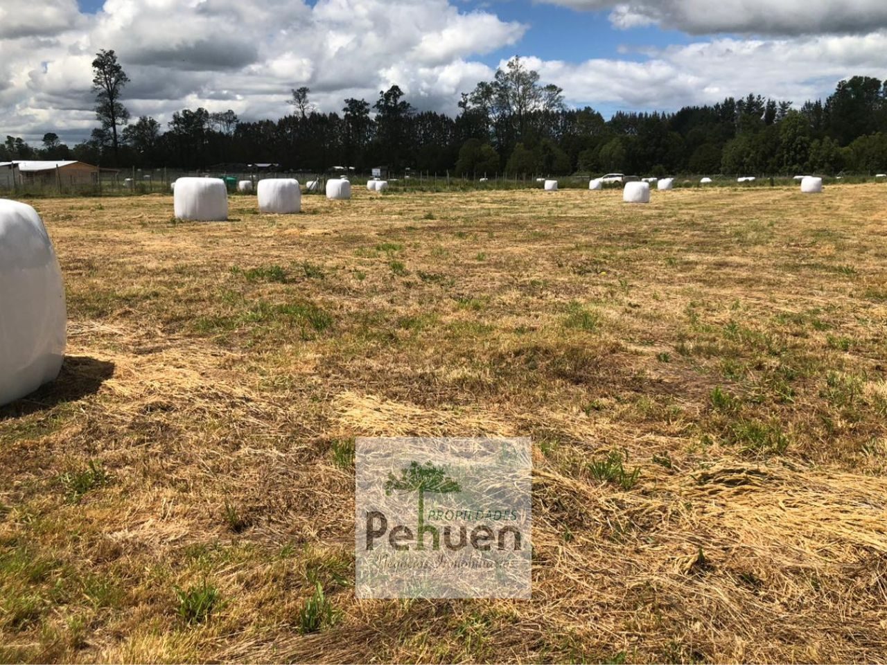 Parcela en venta en Frutillar — foto 4