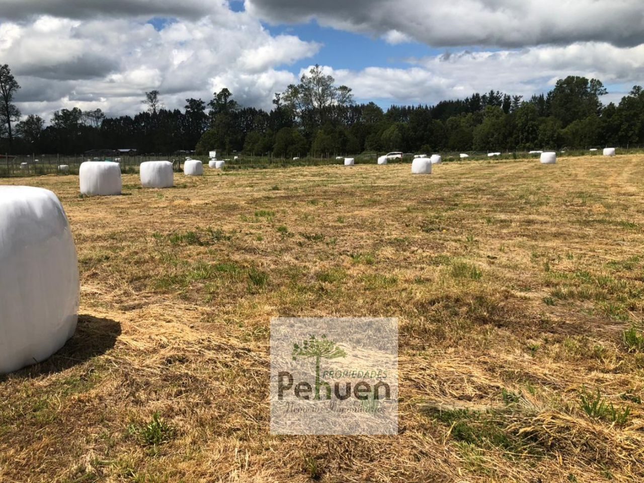 Parcela en venta en Frutillar — foto 5