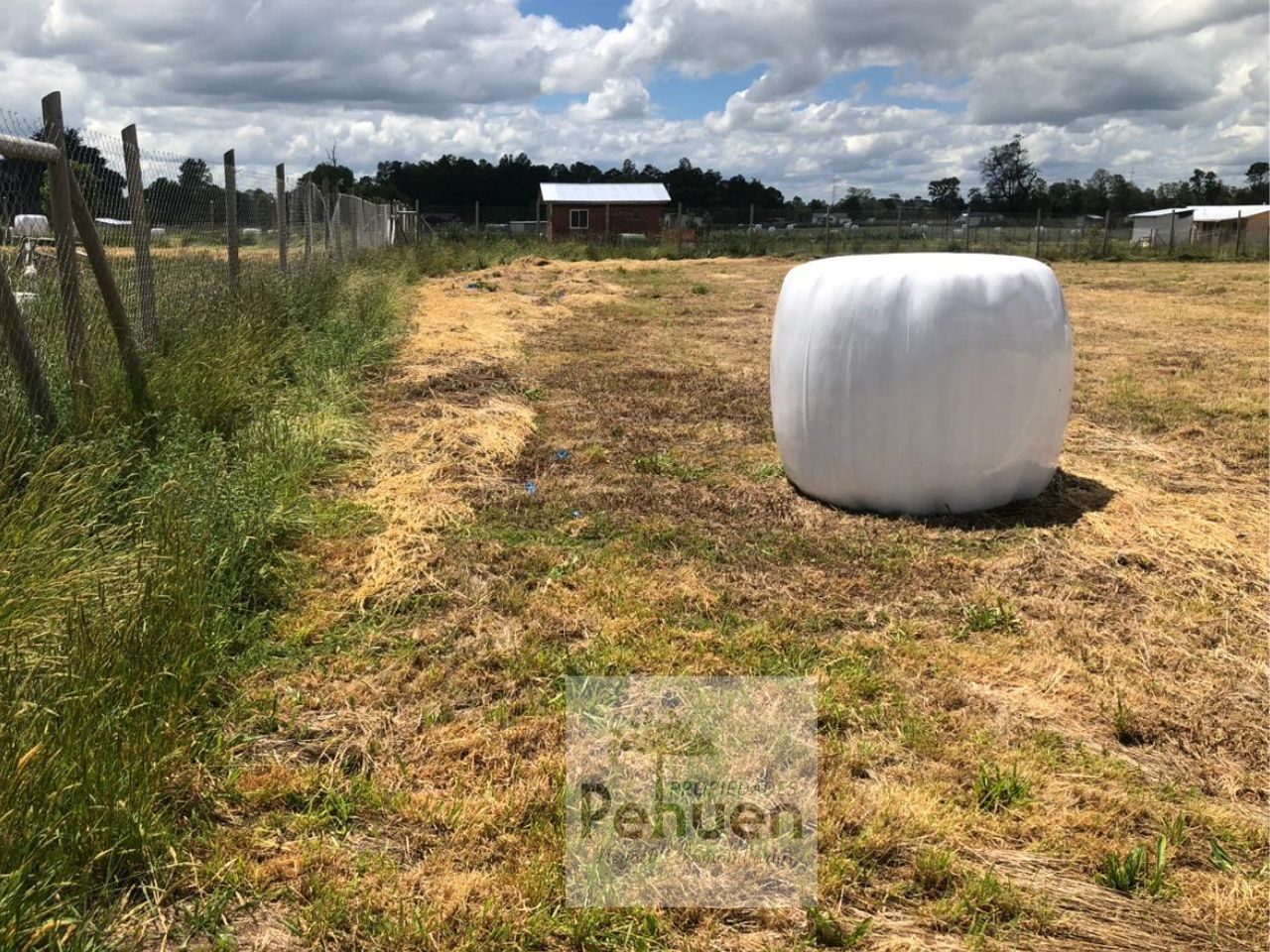 Parcela en venta en Frutillar — foto 7