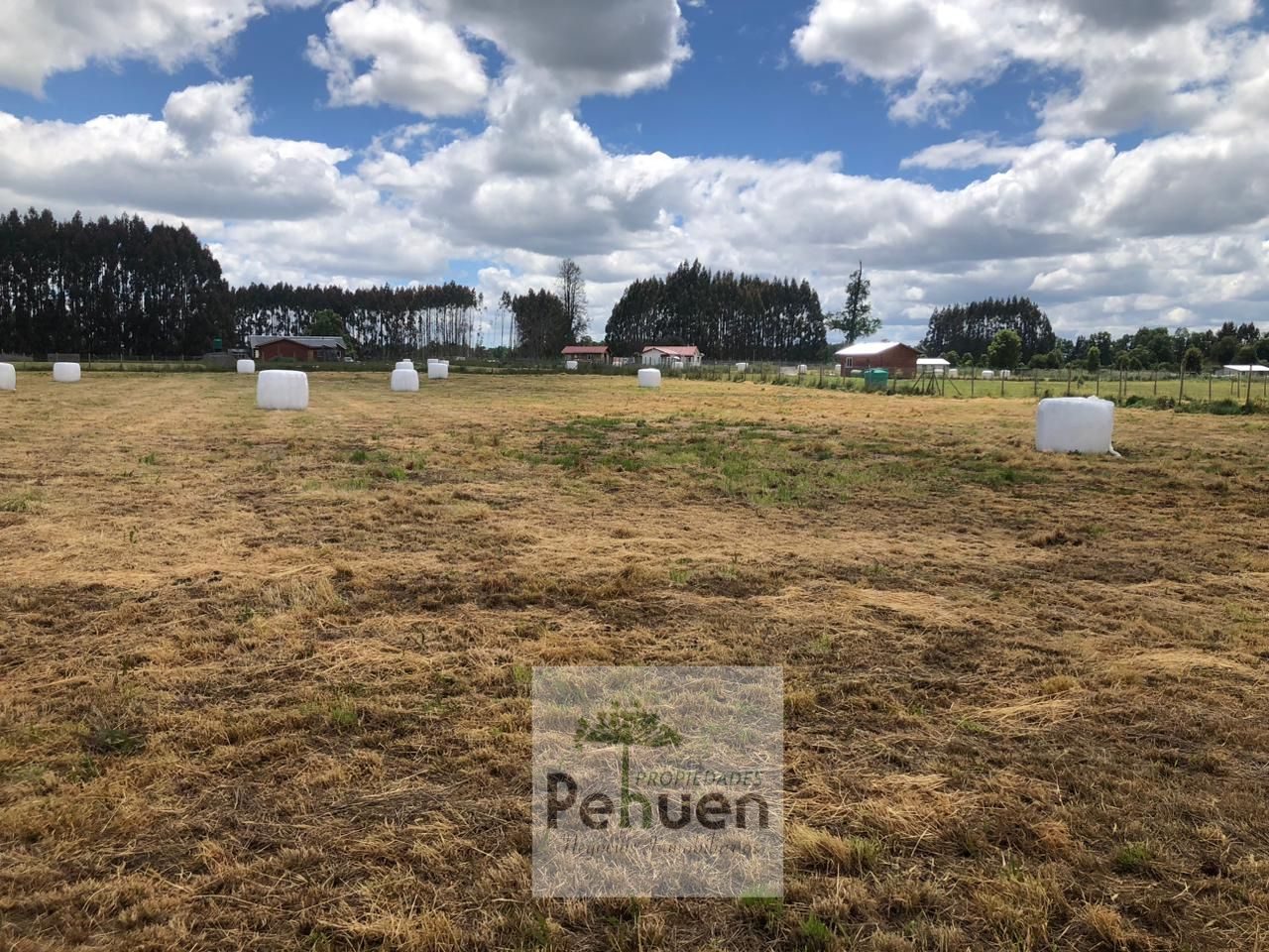 Parcela en venta en Frutillar — foto 8