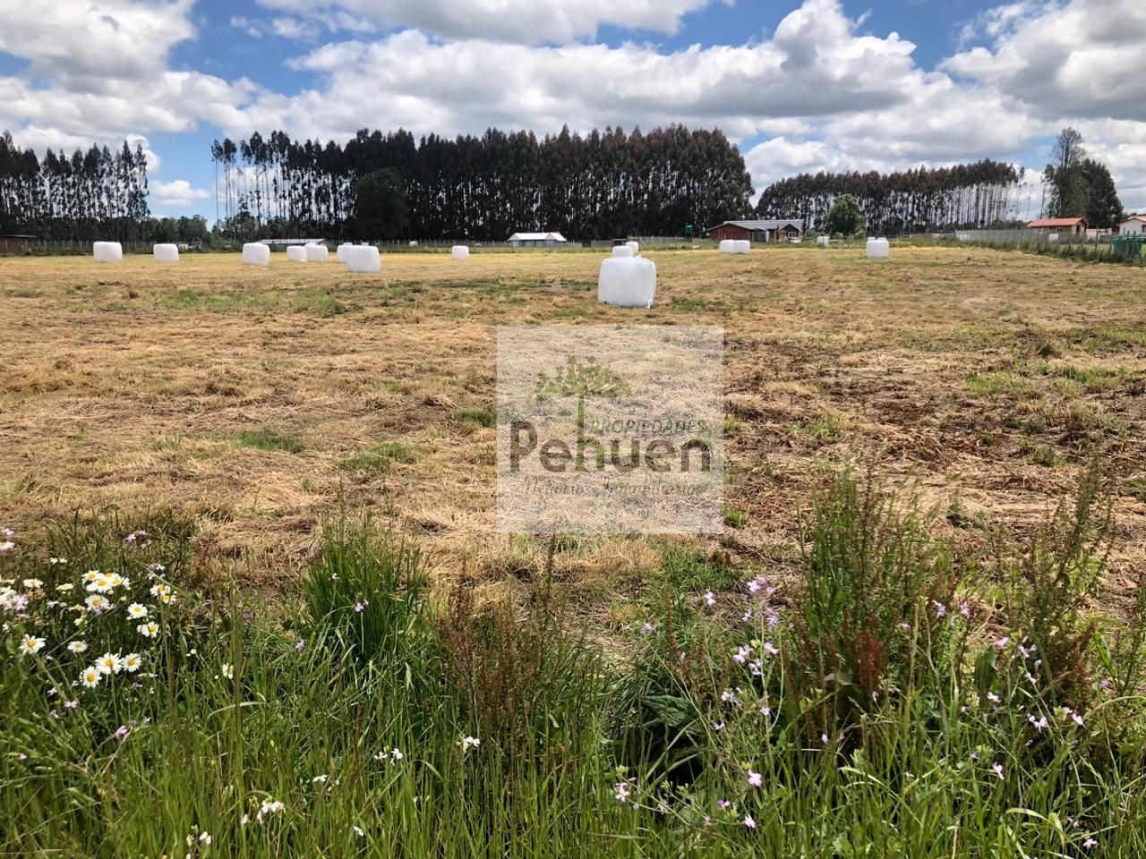 Parcela en venta en Frutillar — foto 9