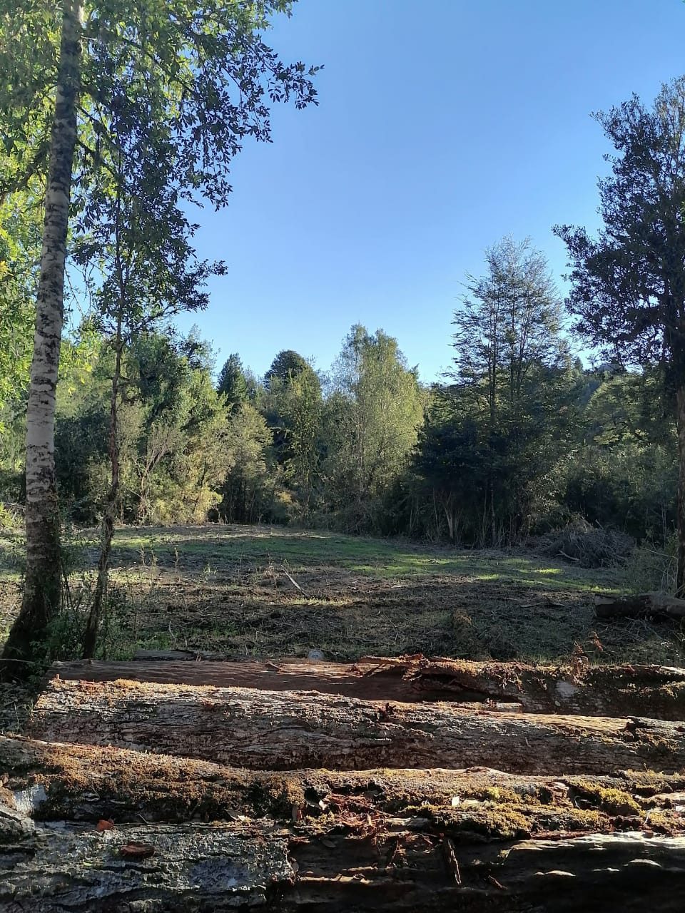 Campo en venta en Cisnes — foto 9