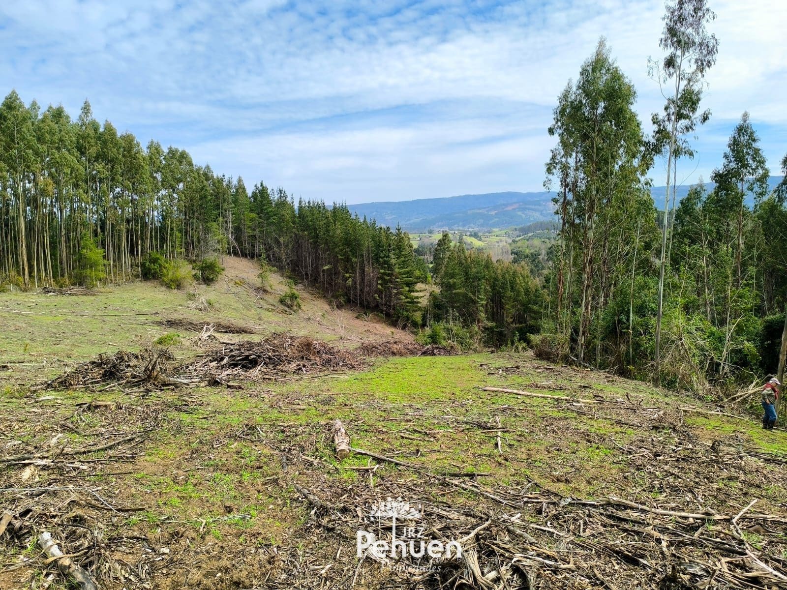Campo en venta en La Unión — foto 1