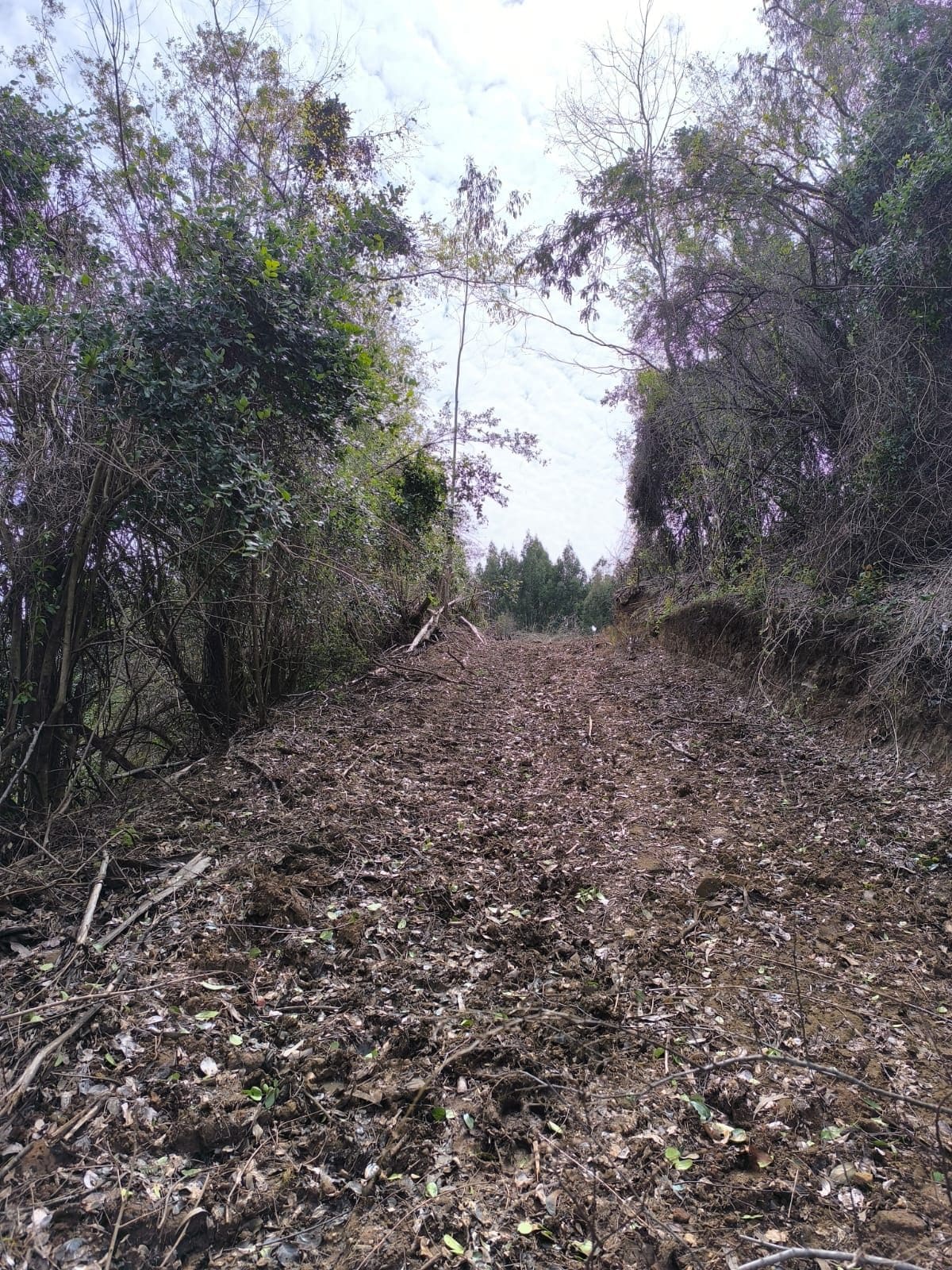 Campo en venta en La Unión — foto 7