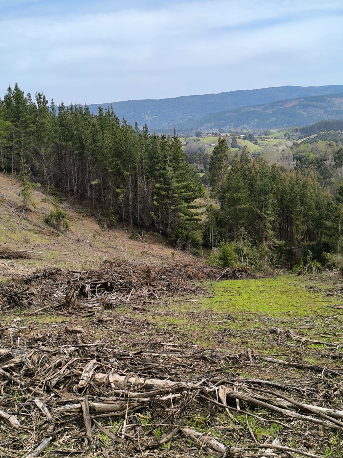 Campo en venta en La Unión — foto 9