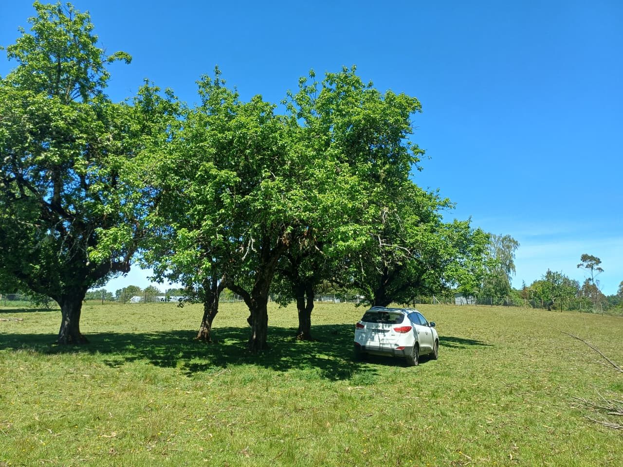 Parcela en venta en Mariquina — foto 4