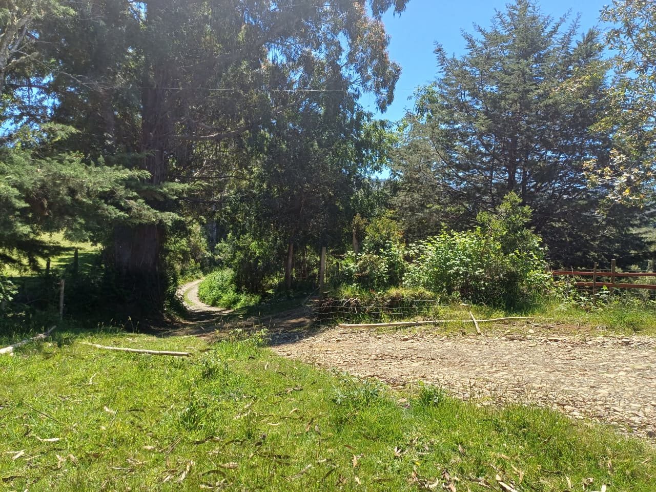 Parcela en venta en Mariquina — foto 8
