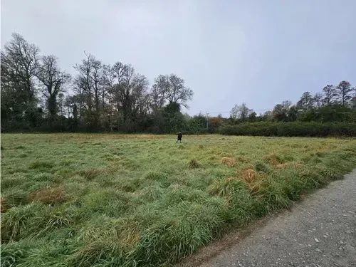 Parcela en venta en Valdivia — foto 8