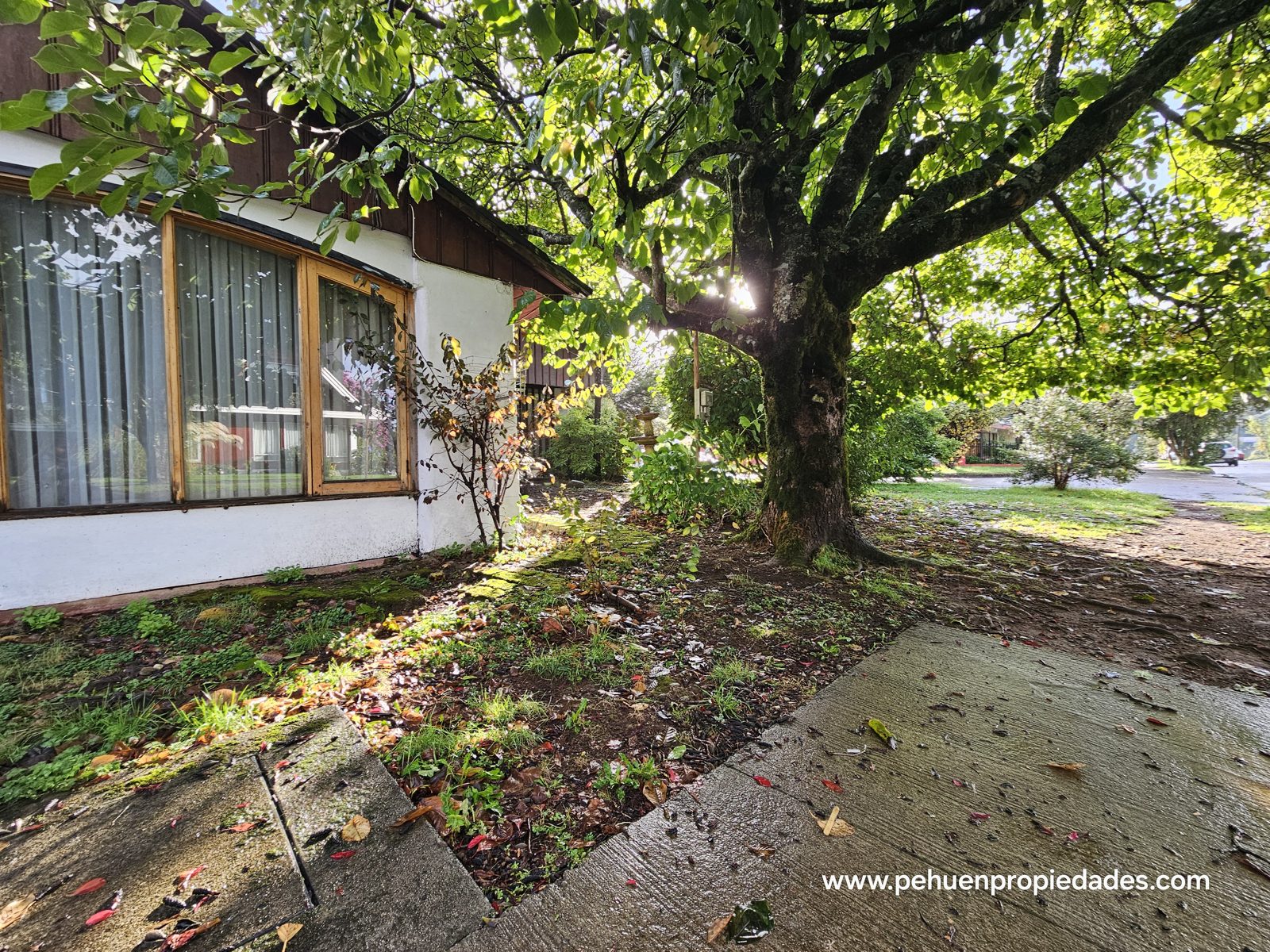 Casa en arriendo en Valdivia — foto 7