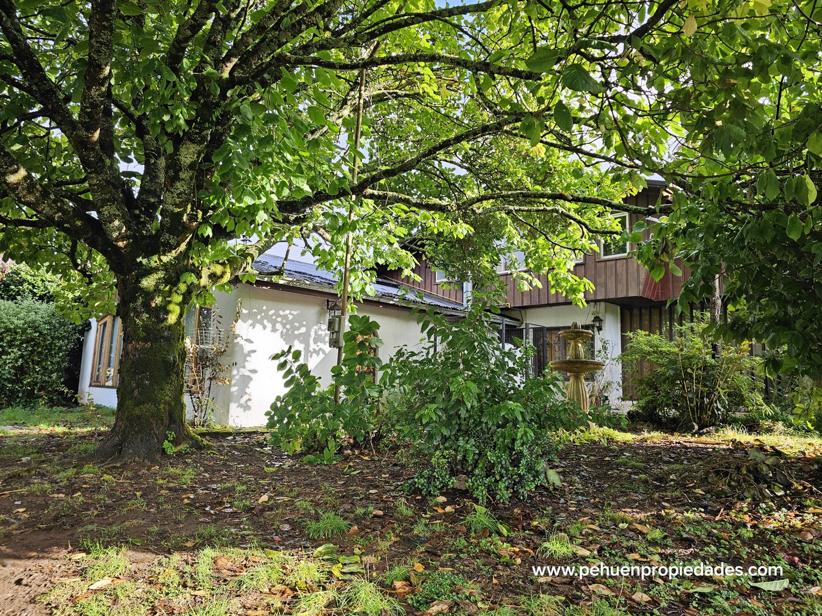 Casa en arriendo en Valdivia — foto 8