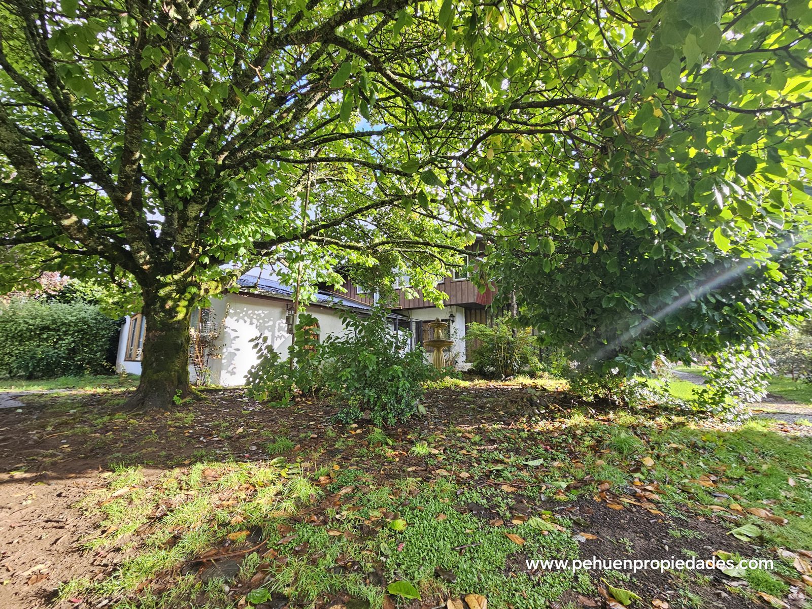Casa en arriendo en Valdivia — foto 9
