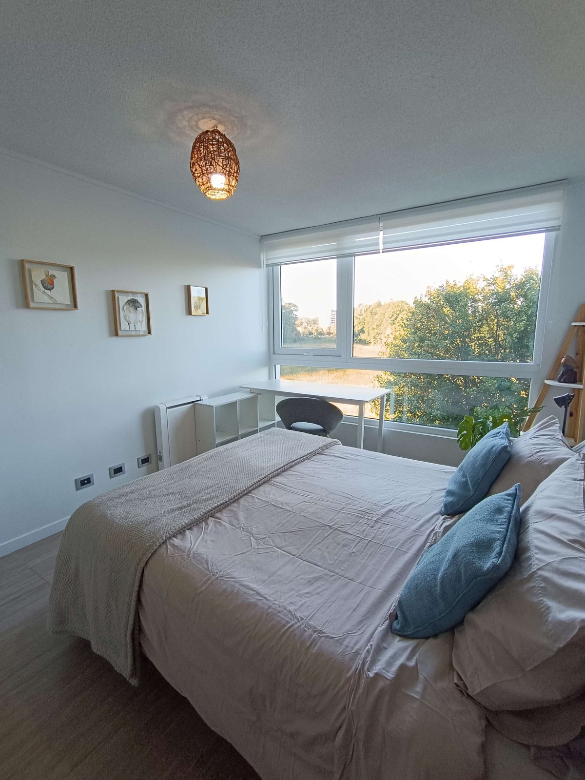 Departamento en venta en Valdivia — foto 3