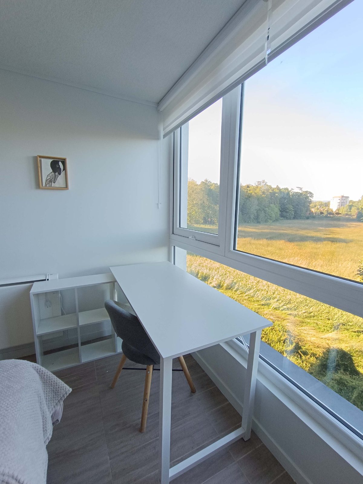 Departamento en venta en Valdivia — foto 4