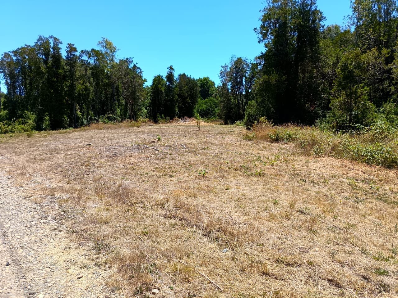 Parcela en venta en Valdivia — foto 3