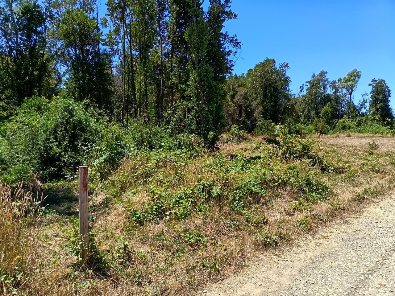 Parcela en venta en Valdivia — foto 5