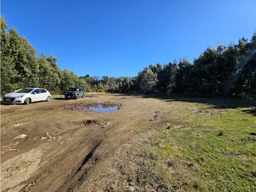 Terreno en venta en Valdivia — foto 1