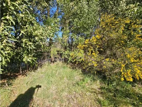 Terreno en venta en Valdivia — foto 4