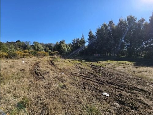 Terreno en venta en Valdivia — foto 5