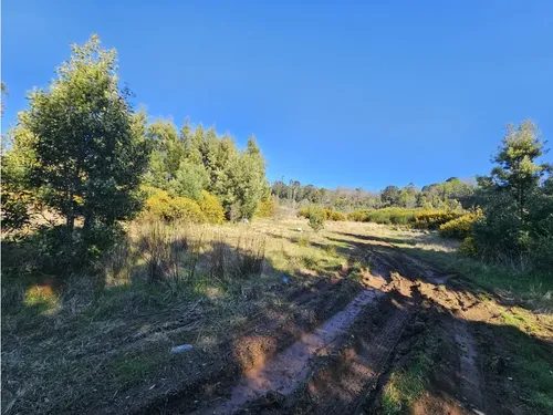 Terreno en venta en Valdivia — foto 6
