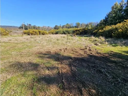 Terreno en venta en Valdivia — foto 8
