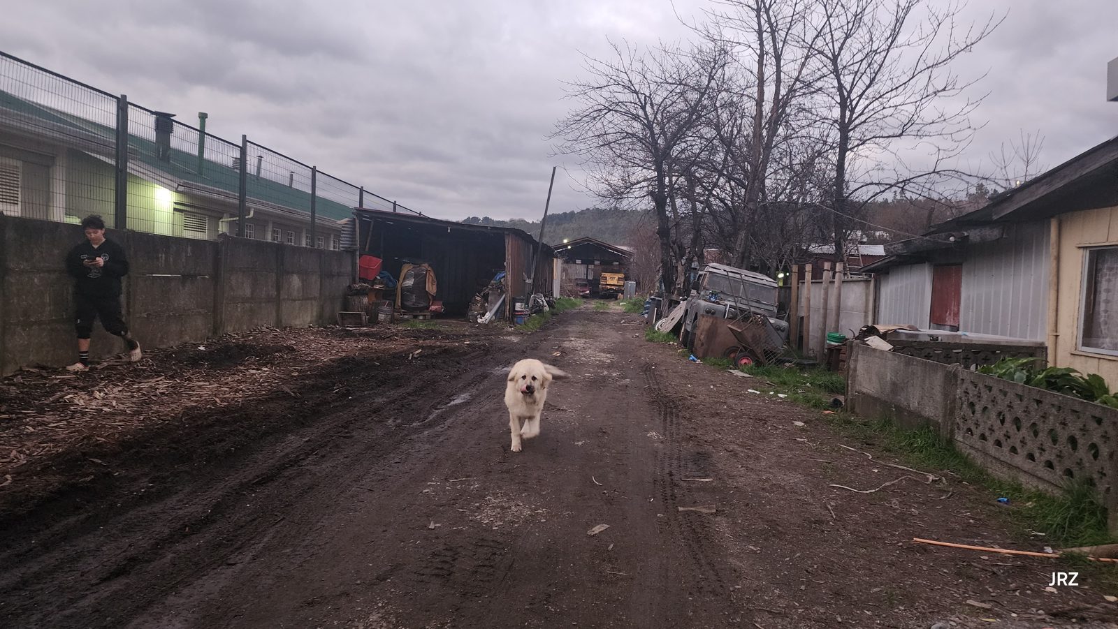 Terreno en venta en Valdivia — foto 3