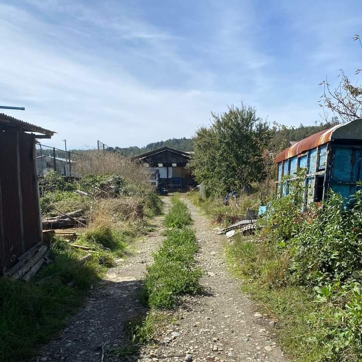 Terreno en venta en Valdivia — foto 7
