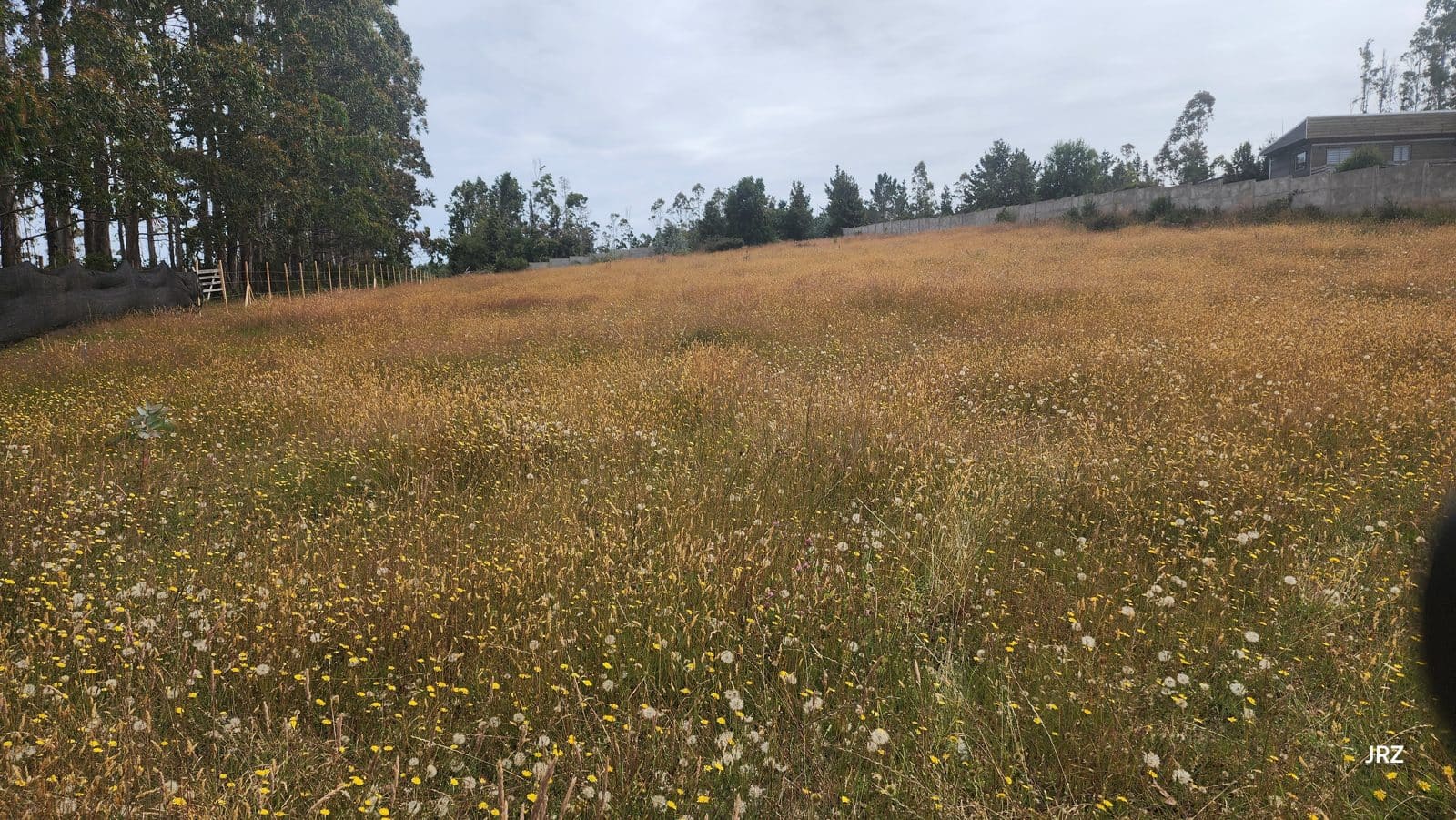 Parcela en venta en Valdivia — foto 8